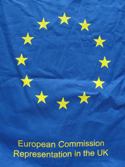 EU in the UK logo